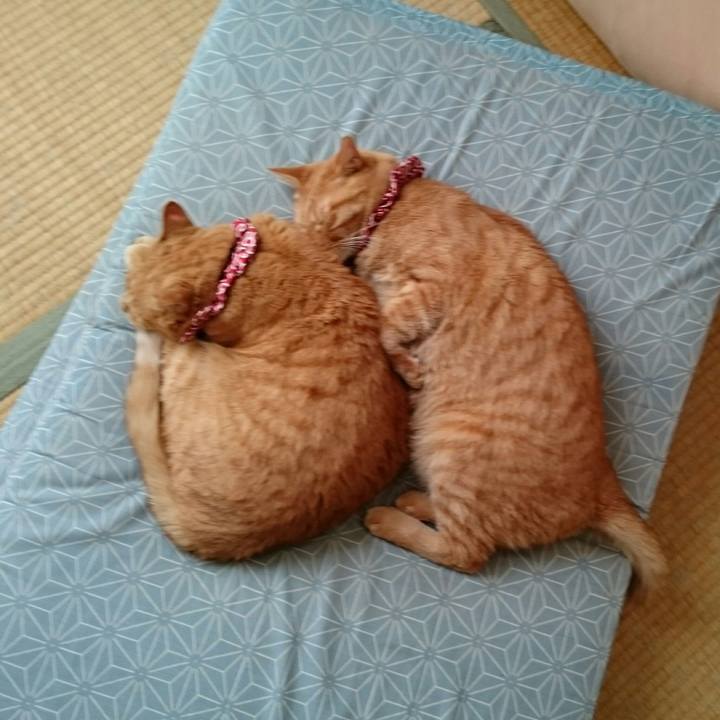 69896ad0 dd17 4357 8681 1114bcdf347b