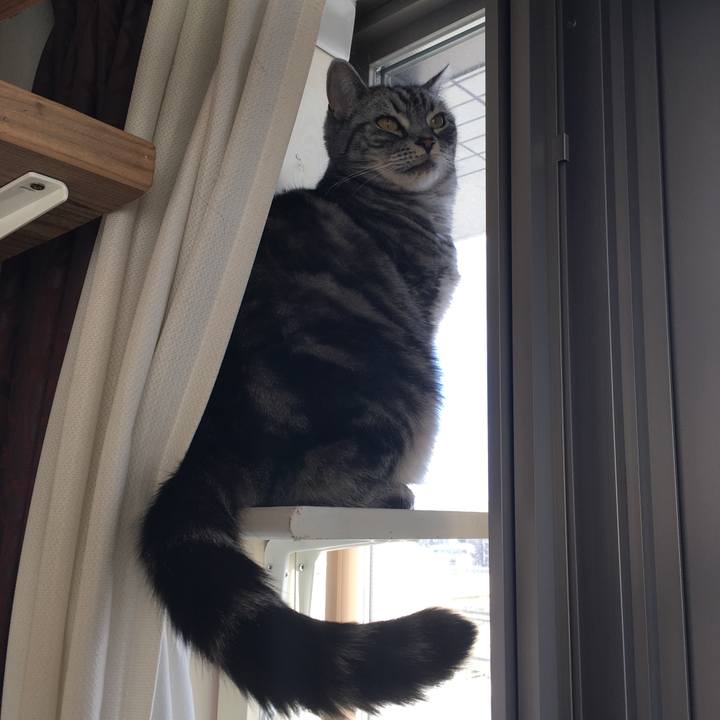 698a0389 1f65 4386 921a d4424339ea3e