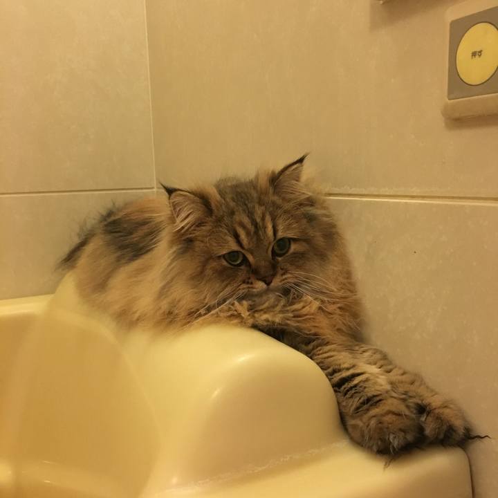 698a9665 c25b 41e5 9f21 e051e98ef90c