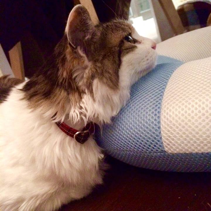 698a9851 5c88 491b a1d1 2c1c1c3b1a23