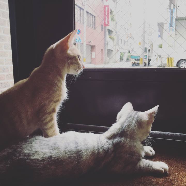 698bc0fd 55d4 4f6b a574 1011eab79314