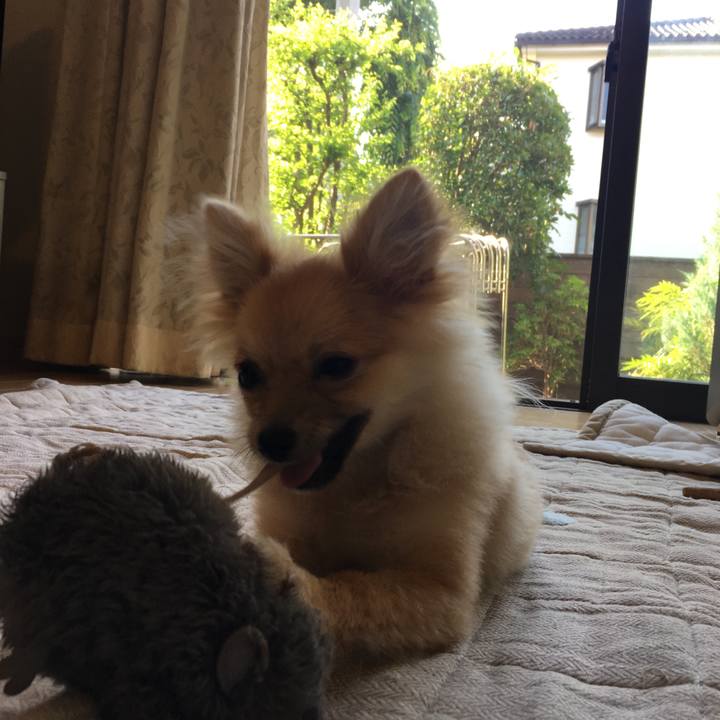 698bf542 9d54 40f7 8666 cd3021751230