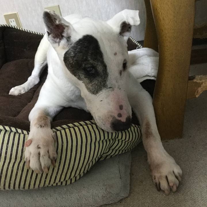 698cade2 732f 4762 a5c2 b65185c04572