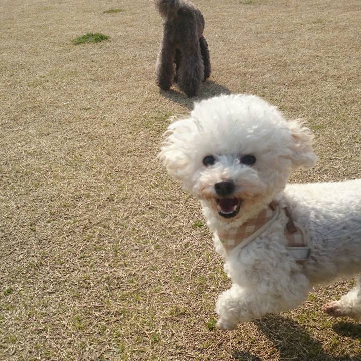 698cd1cc 1eb0 4da8 a240 49bc7a6889e9