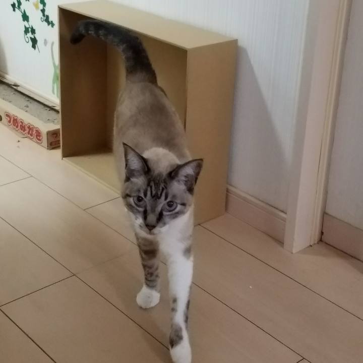 698d183a aca6 4f5d 9055 0a32557f75c7