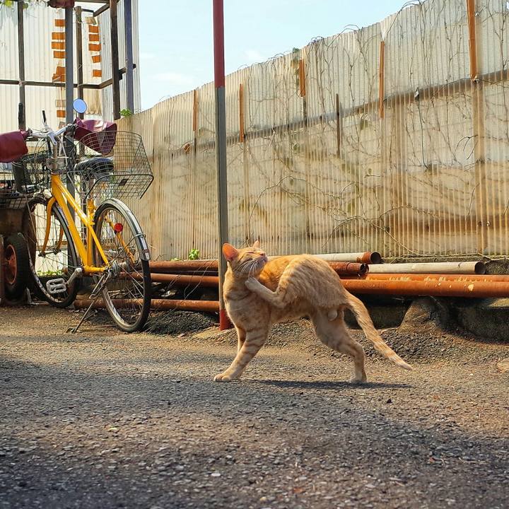 698d28f0 5f20 4e7e b0de 3eda20cac647