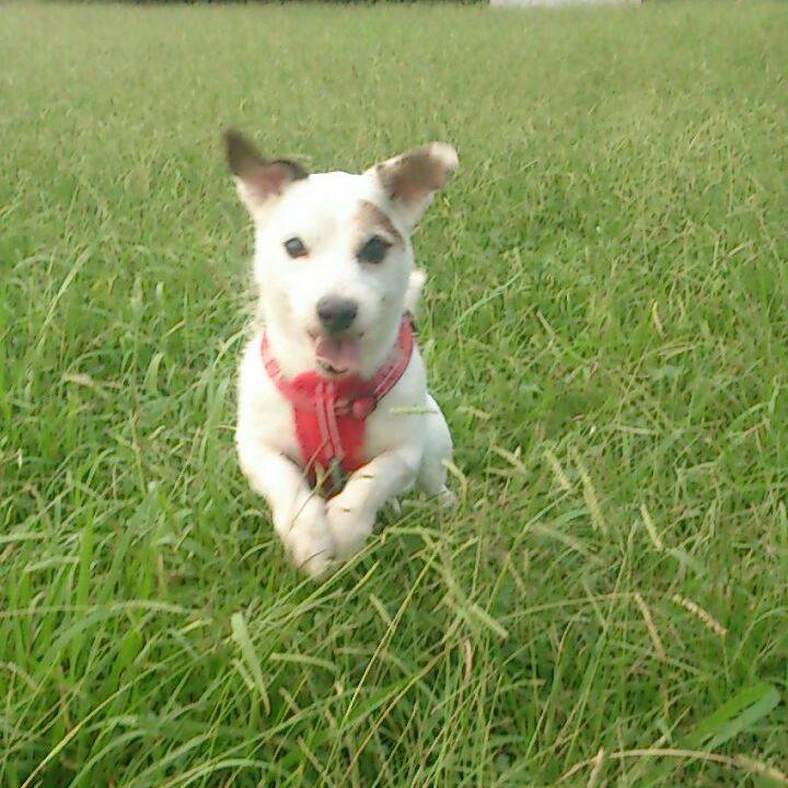 698d7590 e04f 4232 b72a 7a4a11444f08