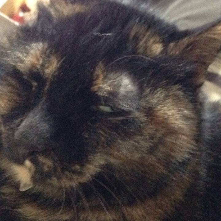 698d7ef1 02e4 48ae a7d5 0124e325bbcd