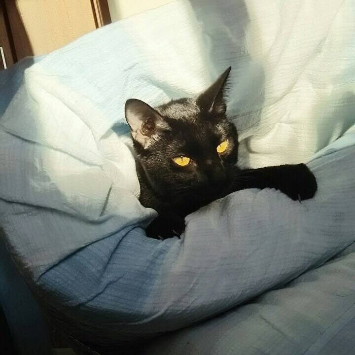 698e5c40 f769 486d 9419 e928e892768f