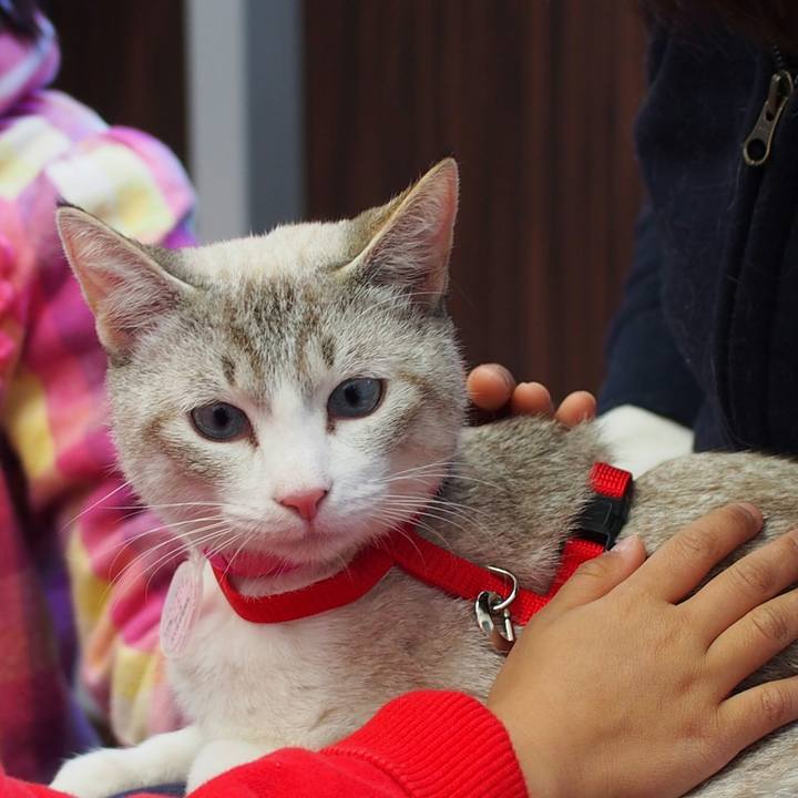 698eb77c f14a 4edd a391 d447494c5ca5