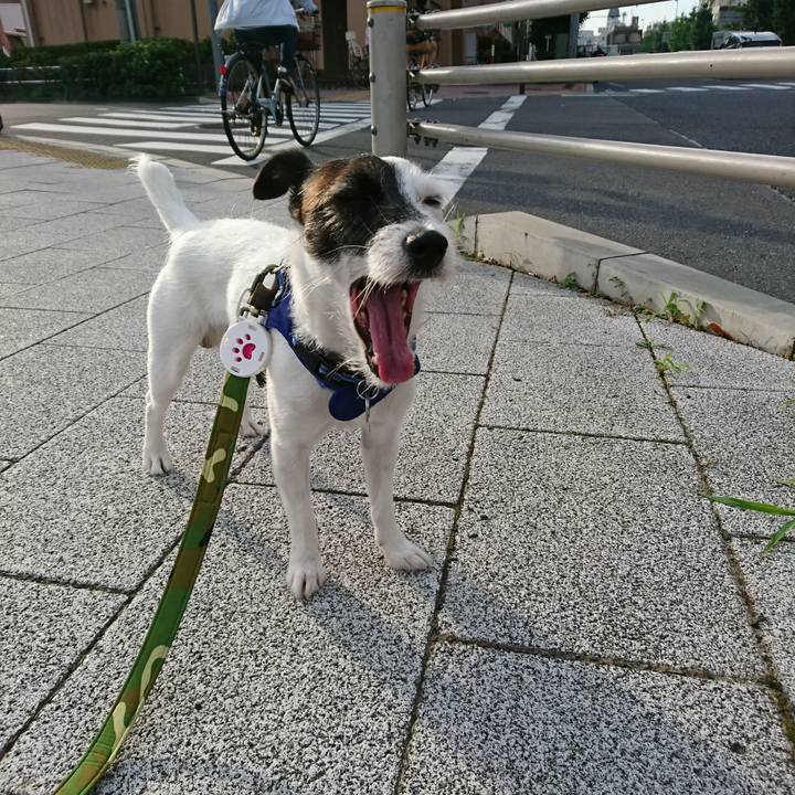 698f1034 6ba9 44ab 9ef0 6f5dd776730c