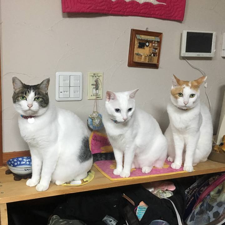 698f12e1 ebe8 4fee 857f da2ebce31f5c