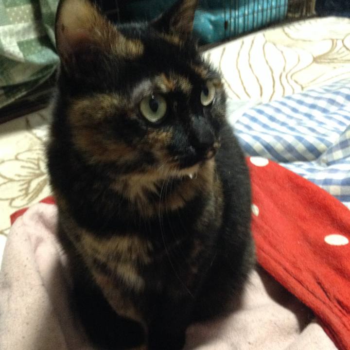 698f5d09 ef9b 4fbc 8d56 a2351680300e