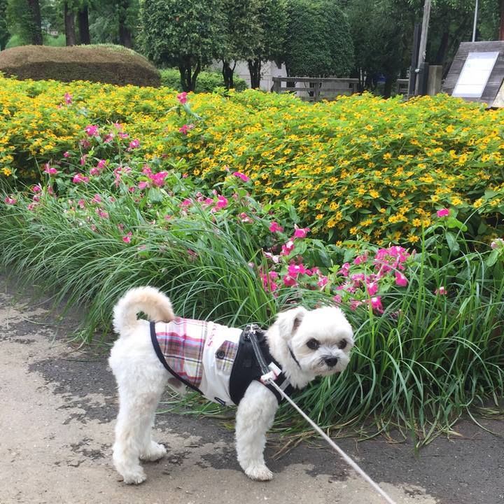 698f6c6a 8a18 47bb bd14 bd2aa8176920