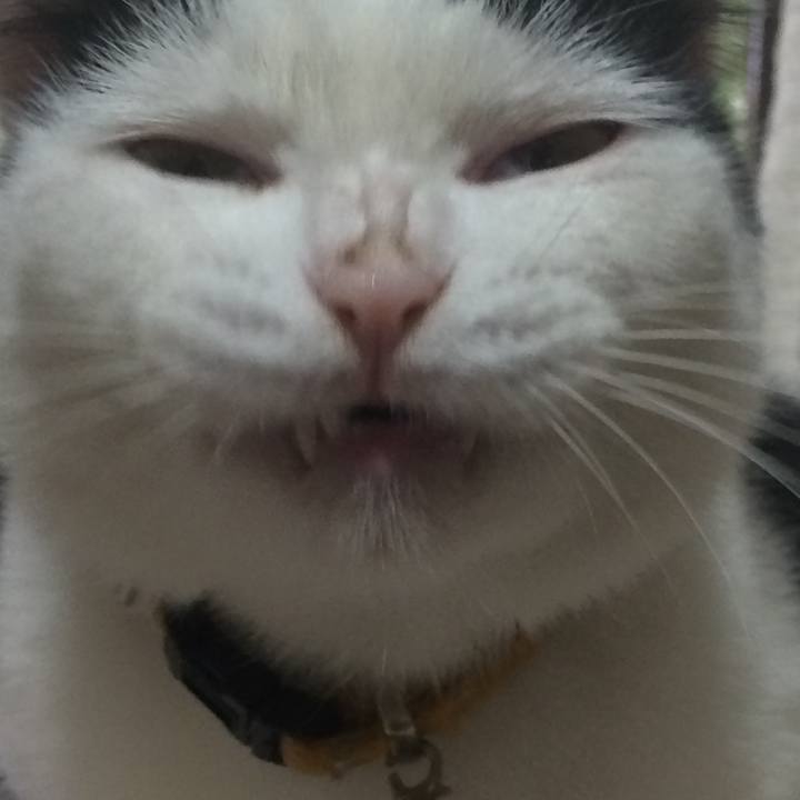 69900d41 b1b0 429c b0cf c560db057f65