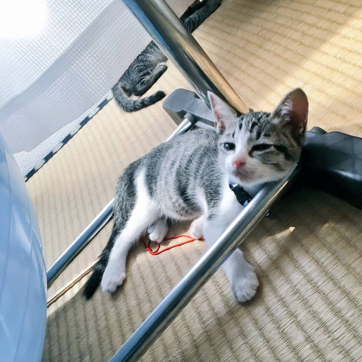 699060ac cb6c 43ca 980c 85359cd3ab8c