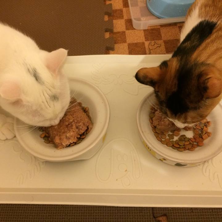 69909024 866a 4111 9349 4ea9f2aed339