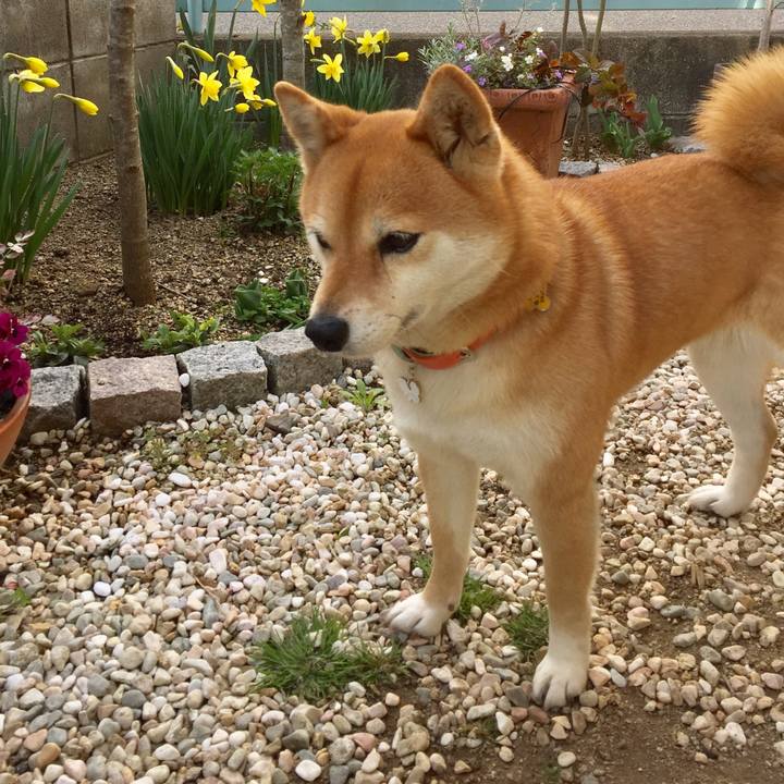 6990afff dd1f 40db a841 d036119089ba