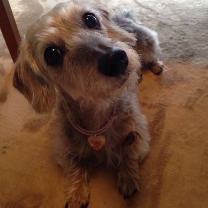 69910f70 972b 4aec b32f 066e99b8c043