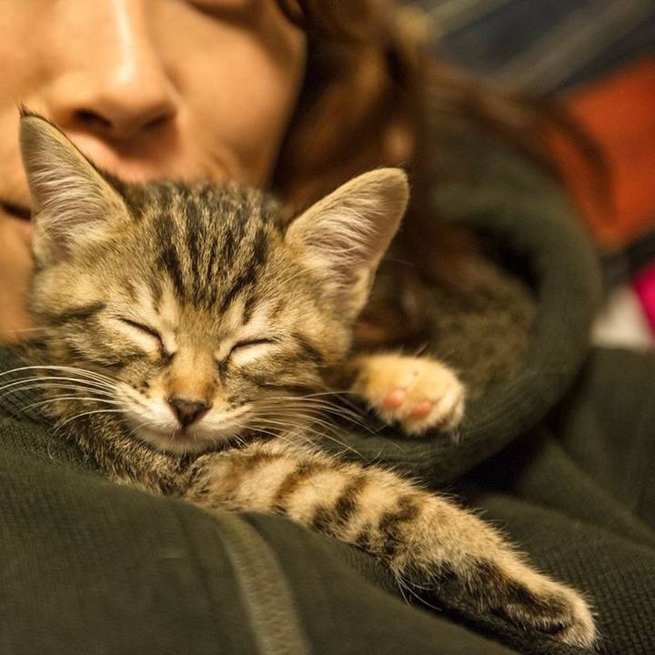 6992f1e0 bbba 45a5 8d3a 3364d6ad31bc