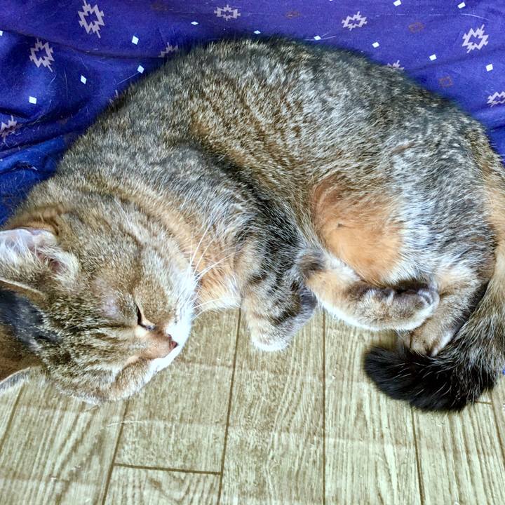 6992f529 126f 4084 86cd a957f379970b