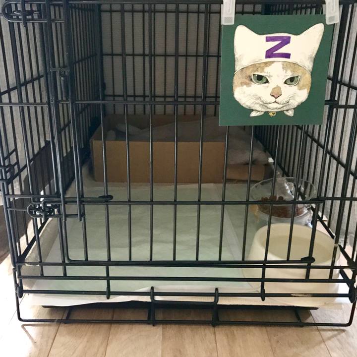 69931fe9 fcca 4618 8b6c c68efbc59b97