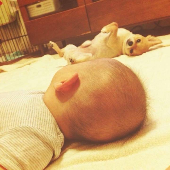 69942244 f67d 44ca 8852 f9eeab7e0e7d