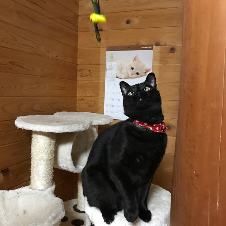 69942465 8f27 452c ada1 167b2c4d2c3b