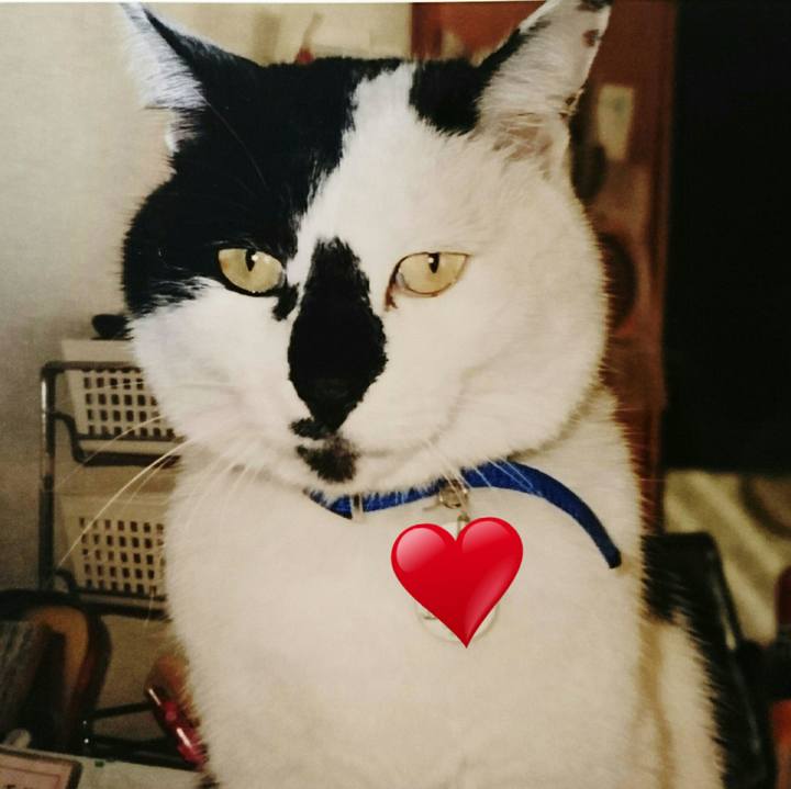 69944ae3 48ef 4429 9884 9d68e851bbc9