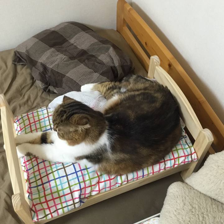 699455b2 e36c 4dd0 a3b9 9788c63783da