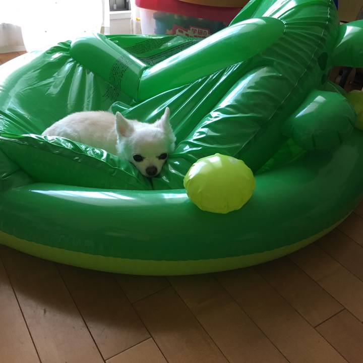 6995351b 36a0 411f 95d6 5b33cfa5d7fc