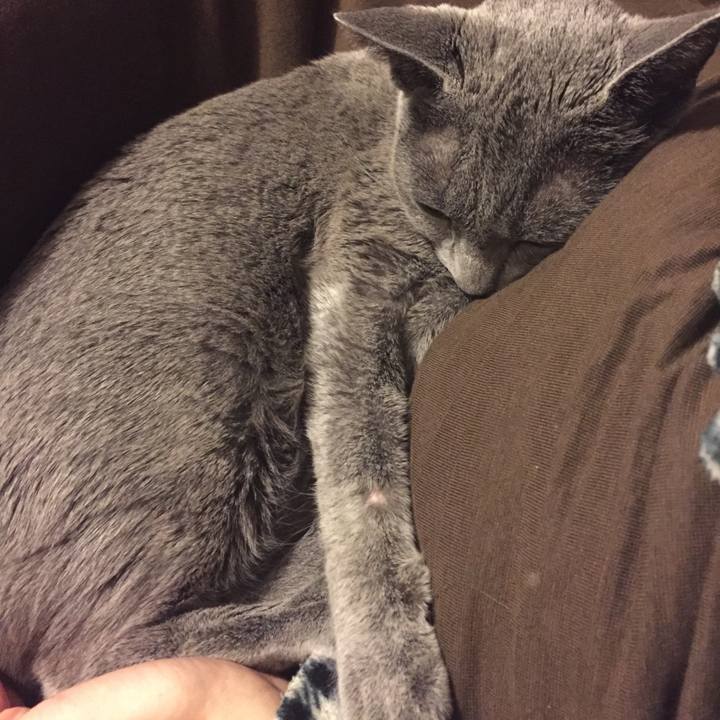 6995c521 c4f8 4945 ab4e 05091c41f8db