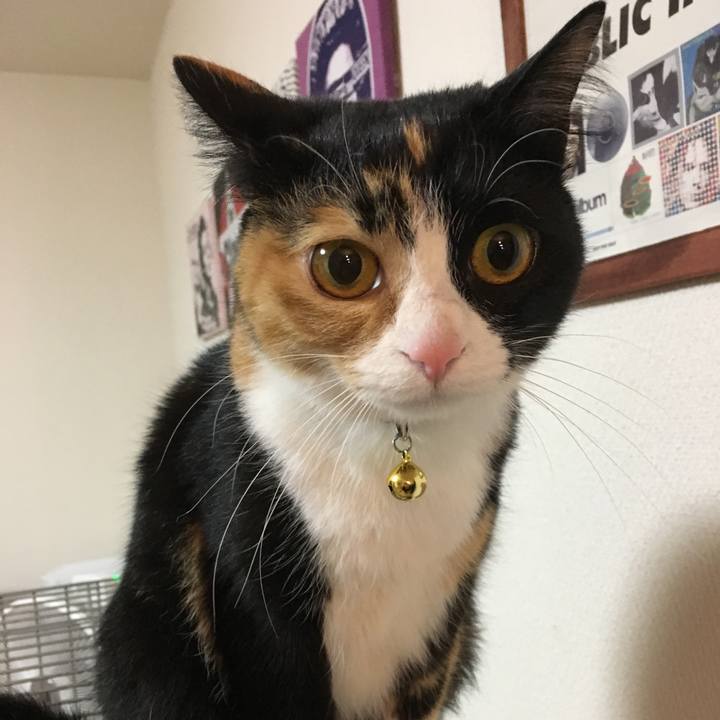 6995de0a 8451 42dd b983 f64153749c6a