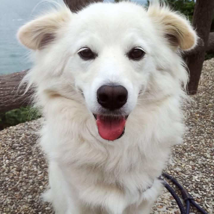 6995dfc1 8b71 46b1 a2be a855cb9cec8a