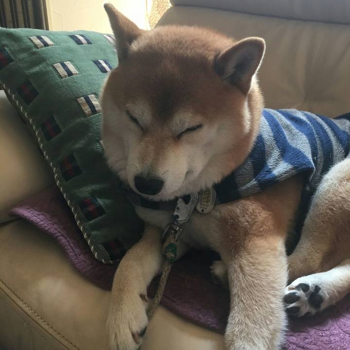 6996470a 299b 4246 83a5 1c1163440ada