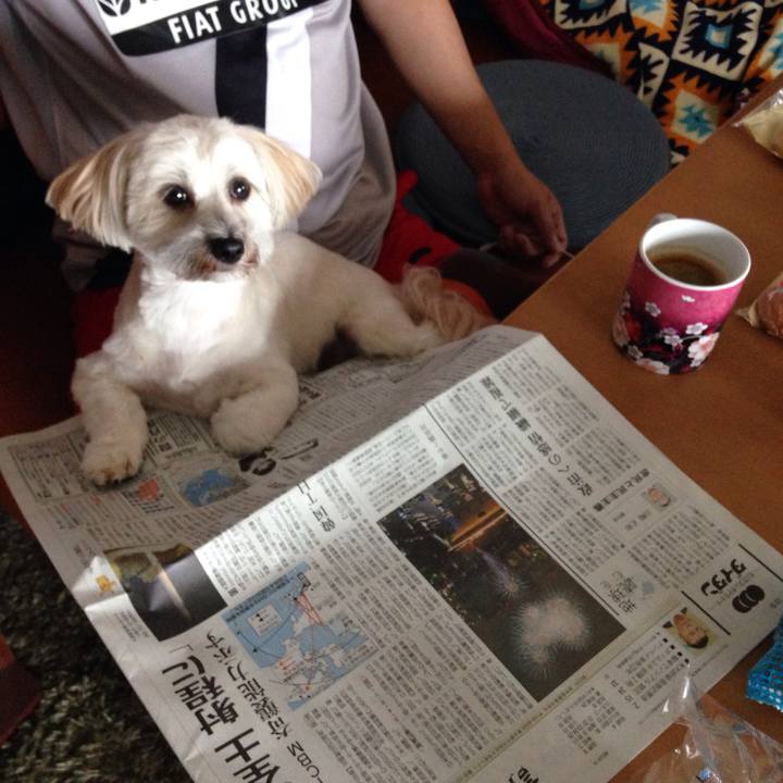 6996f0ce ef77 4190 a417 d29da6629449