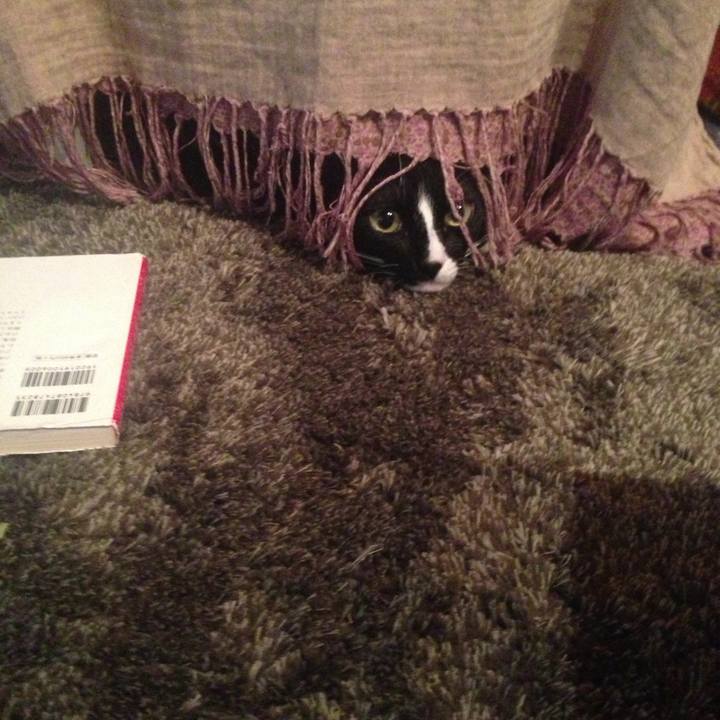 69973982 ae76 4c40 b3ee 06e0a8d3d600