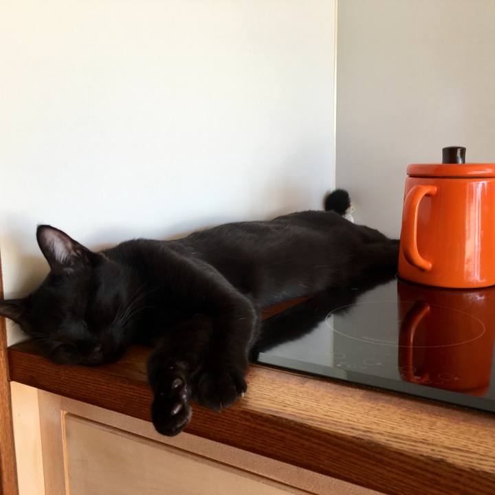 6997b64e db0f 4dd1 8edb f1f38cc7e1af