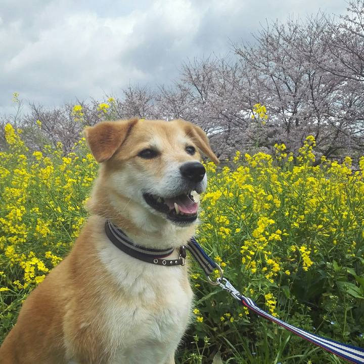 6997deb1 235a 4b0f 90a0 740f8a46c439