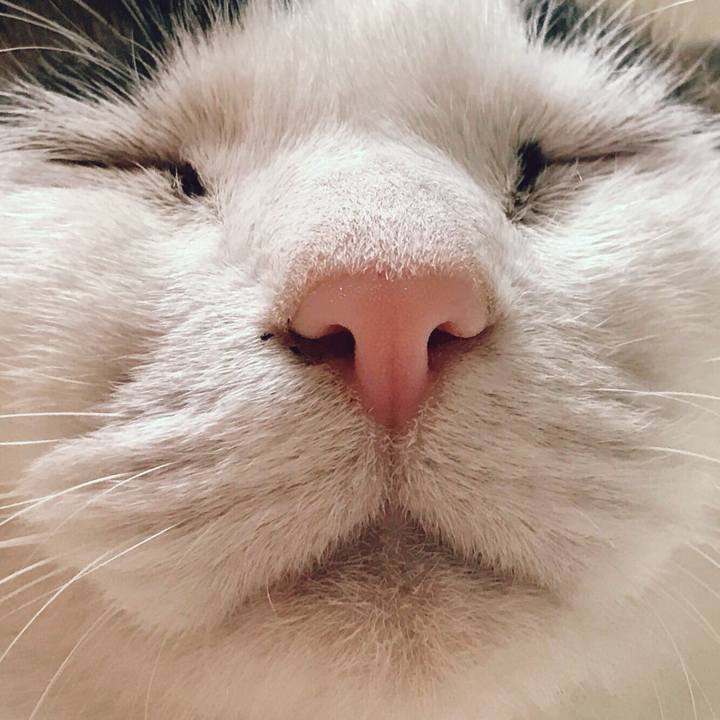 69980888 cc46 475d 8984 cf13d57d718e