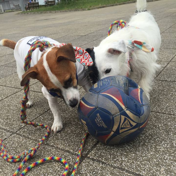 6998c7d7 3b92 4986 84eb 12f8f8c7c3ca