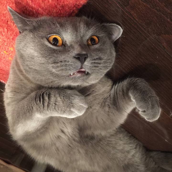 69992ec9 a698 4f5c abf3 b871101deee7