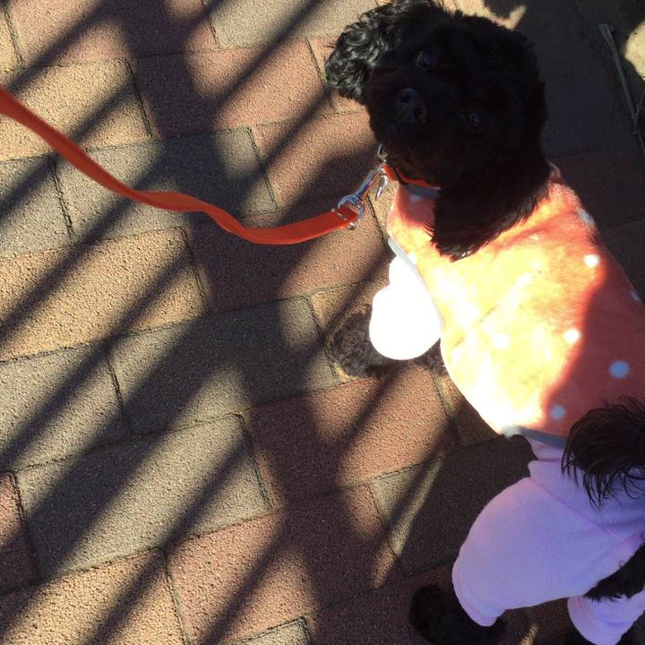 69999d41 fe16 46b3 b275 4a7575ec40b9