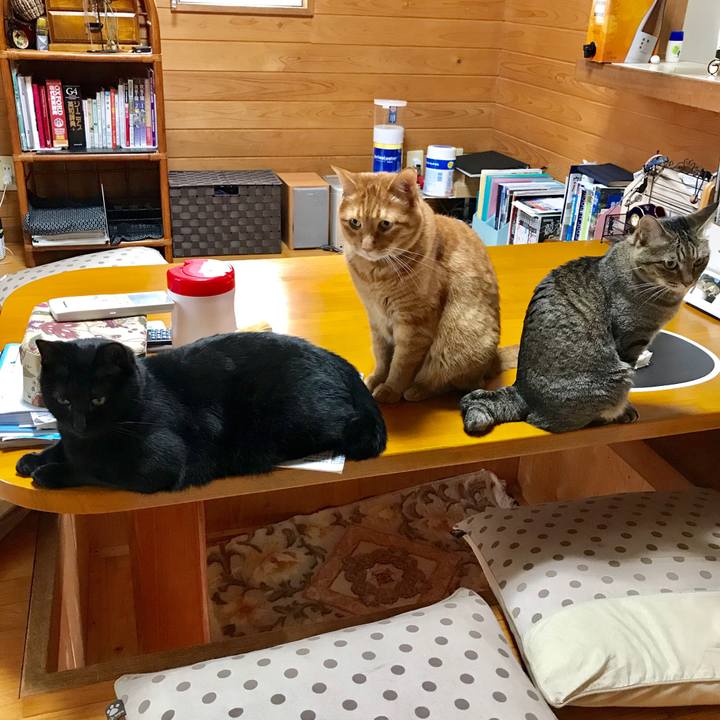 6999ea2f feed 4e35 a5a9 25c97b6df3cd