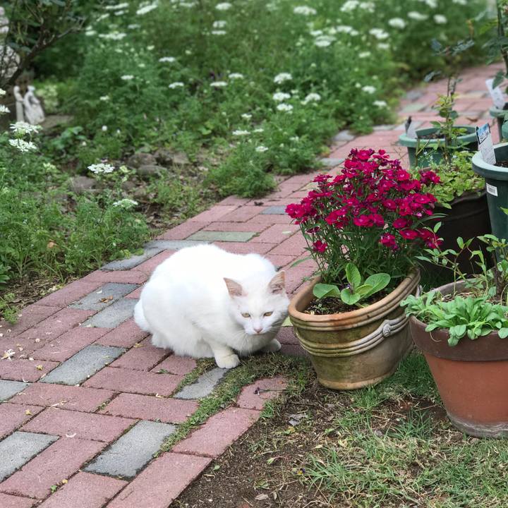 699ab026 78e8 4902 84d6 79f07edb1301