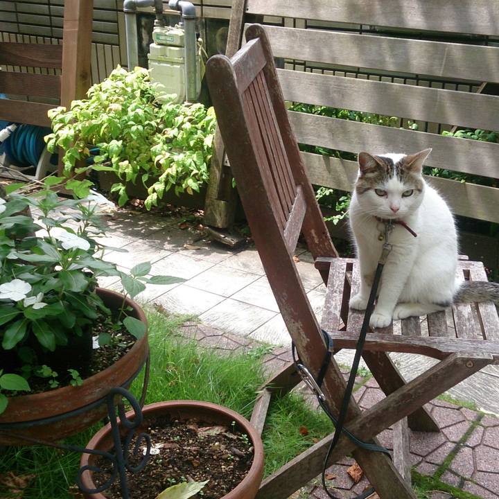 699ab175 57f0 446c 8bf2 28a97ccfc8a8