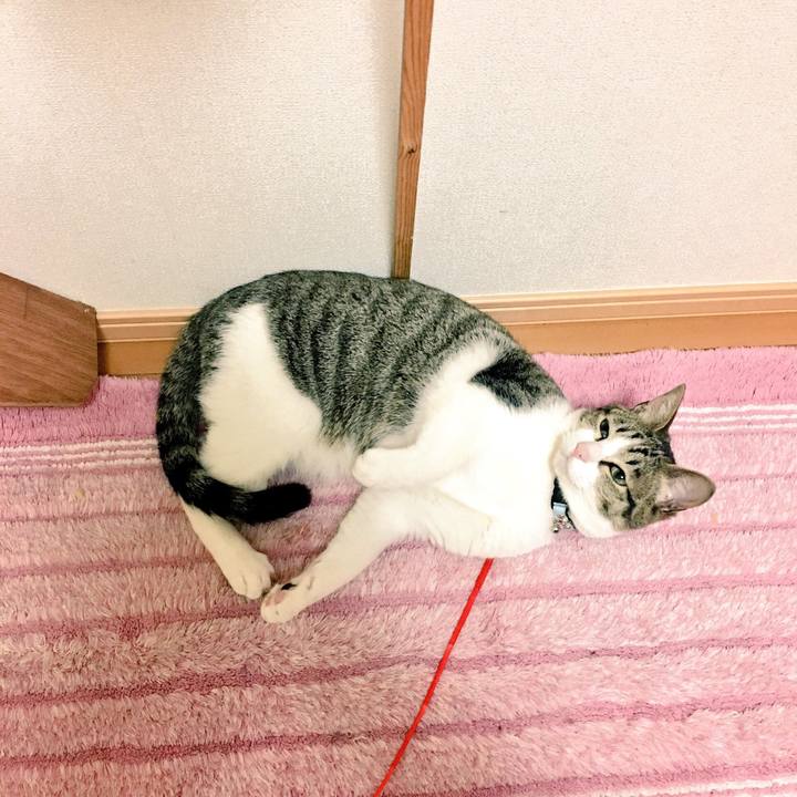 699ae5fa 23bc 40d9 9a73 84451723ce1d