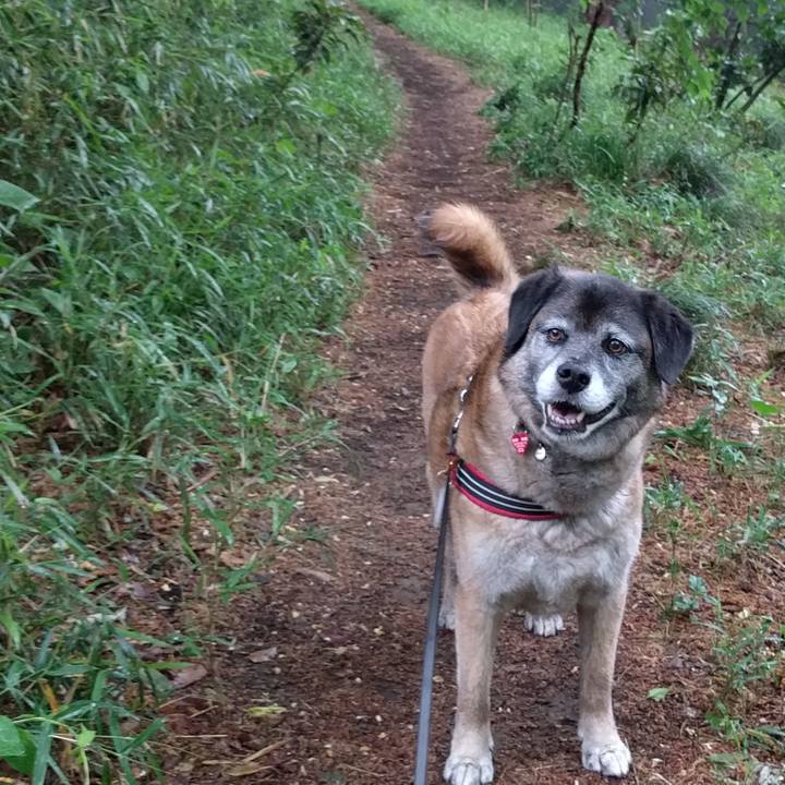 699b07c1 6c53 4e2f 954b 4474aca28c65