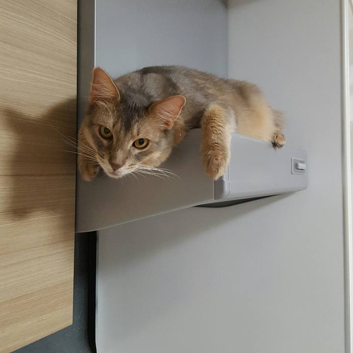 699b472e 4e26 49d2 aef8 6b8cbbd3edf8