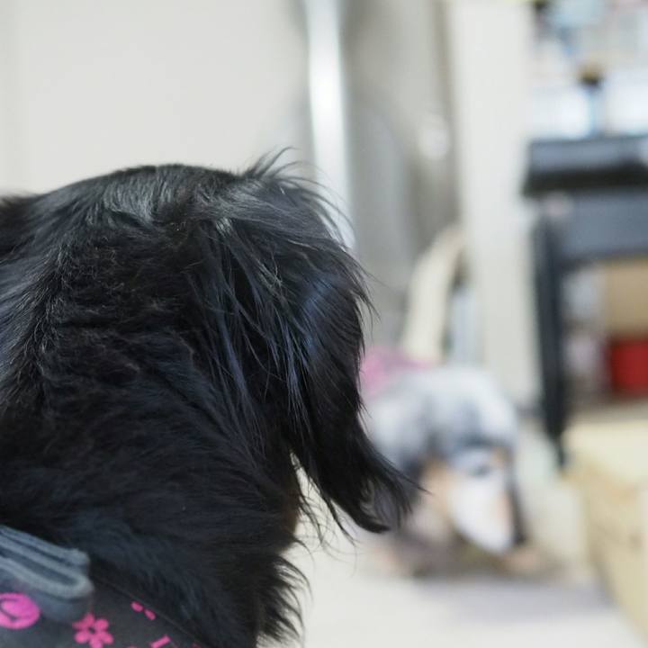 699b64e5 8ab4 474b 93d4 1267a4388900